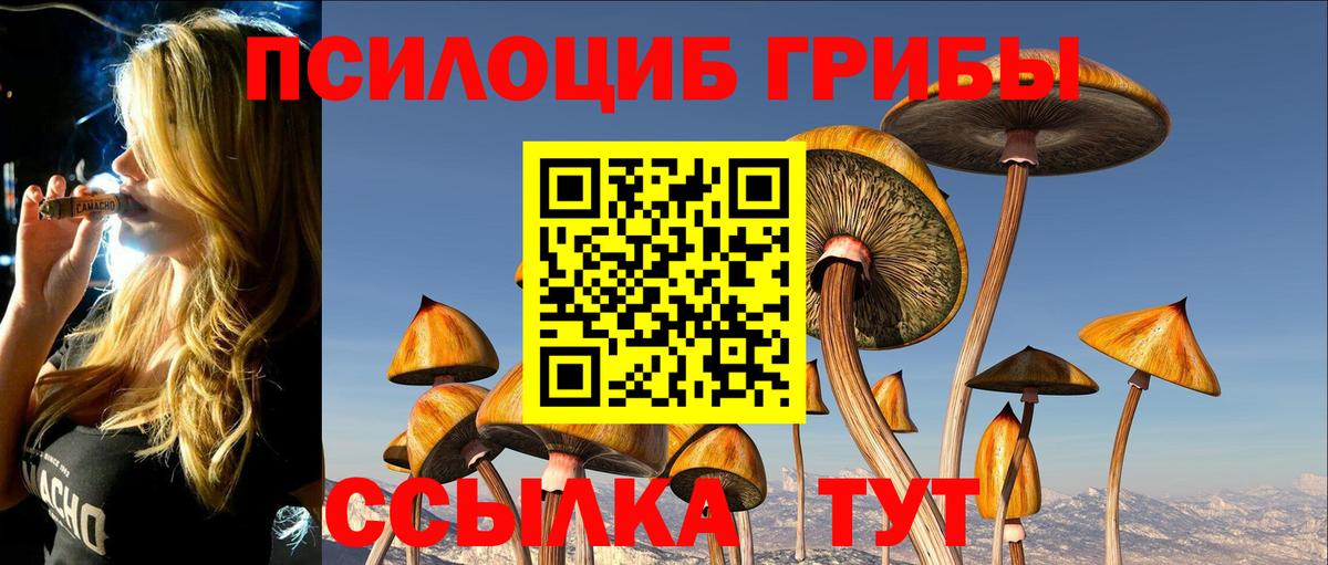 Псилоцибиновые грибы мухоморы Вышний Волочёк