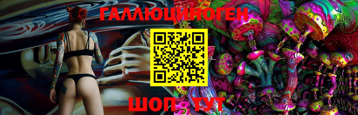 Вышний Волочёк  Галлюциногенные грибы MAGIC MUSHROOMS  Вход с VPN 